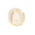 IGITL_211698_TOP.webp