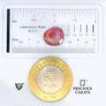 ITLGR_102667_SCALE.webp