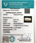 ITLGR_102041_CERTIFICATE.webp