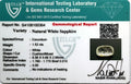 ITLGR_100364_CERTIFICATE.webp
