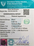 ITLGR_109478_CERTIFICATE.webp