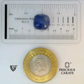 ITLGR_98952_SCALE.webp