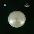 ITLGR_107018_TOP.webp