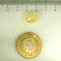 ITLGR_106776_SCALE.webp