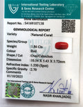 ITLGR_107138_CERTIFICATE.webp