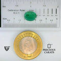 ITLGR_102190_SCALE.webp