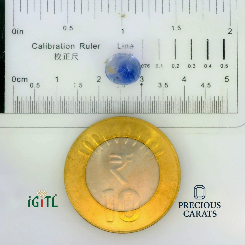 IGITL_197771_SCALE.webp