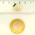 ITLGR_121465_SCALE.webp