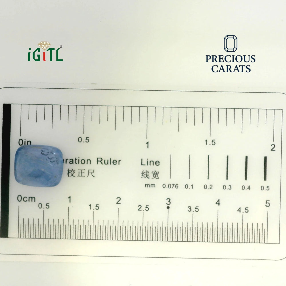 IGITL_194713_SCALE.webp