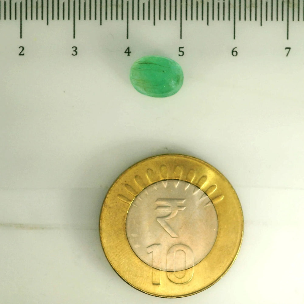 AGR_88376_SCALE.webp