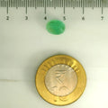 AGR_88376_SCALE.webp