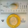 ITLGR_99898_SCALE.webp
