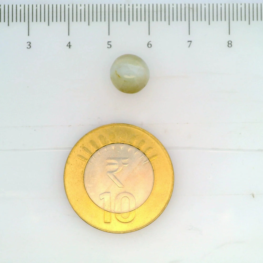 ITLGR_109817_SCALE.webp