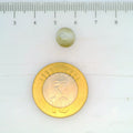 ITLGR_109817_SCALE.webp