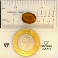 ITLGR_104463_SCALE.webp