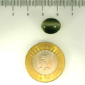 ITLGR_107062_SCALE.webp