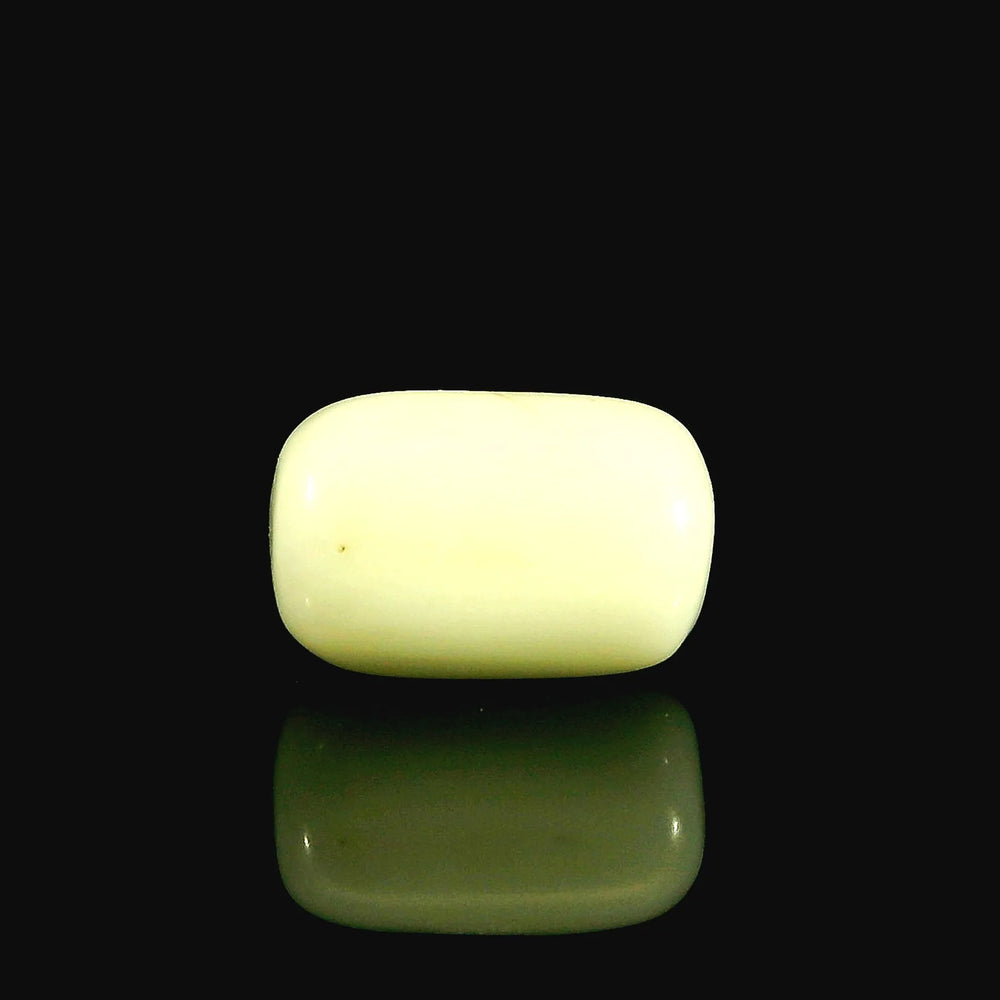 ITLGR_102035_FRONT.webp