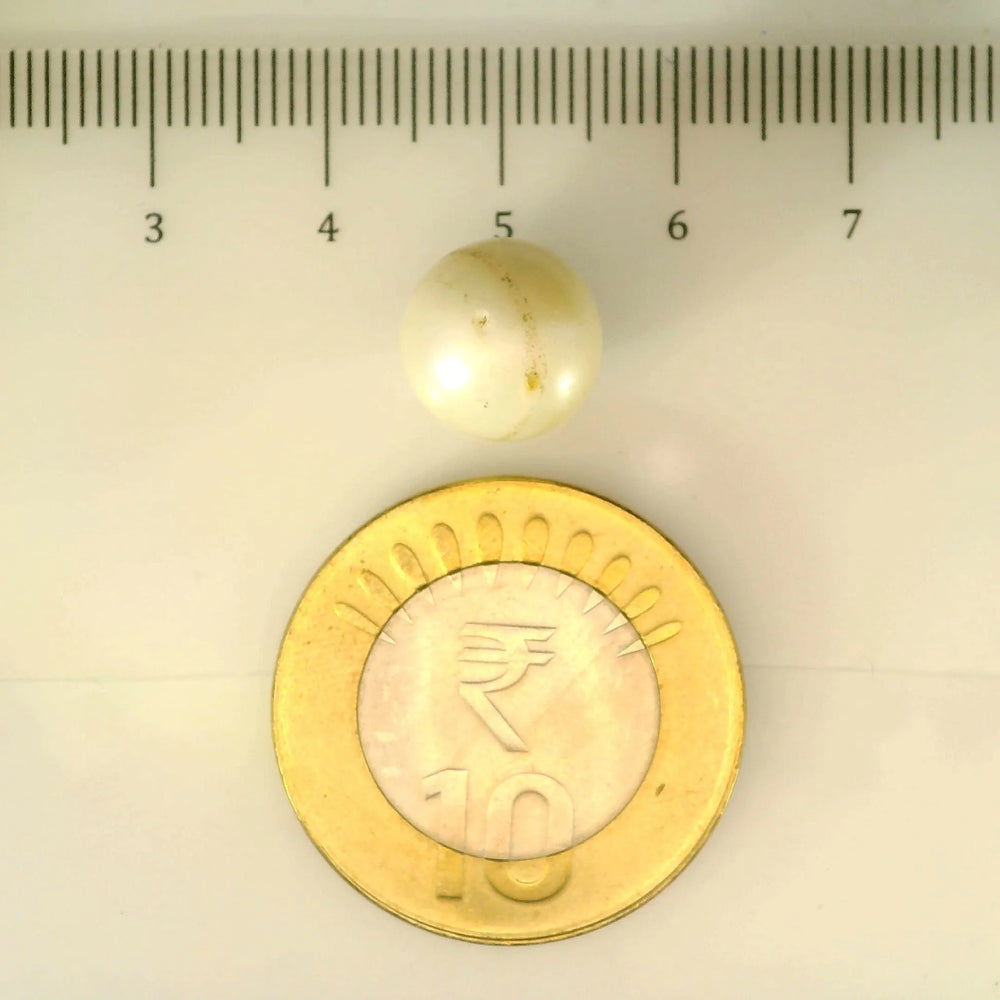 ITLGR_106919_SCALE.webp