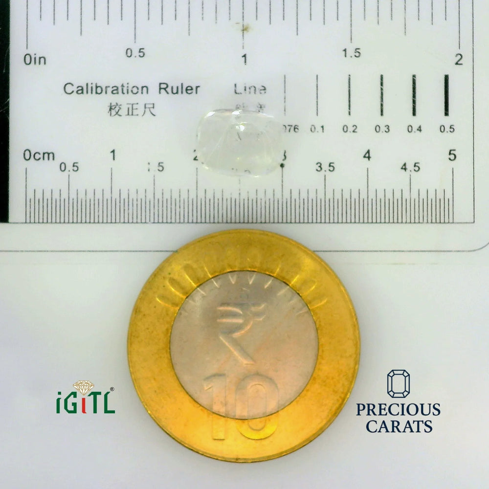 IGITL_197797_SCALE.webp