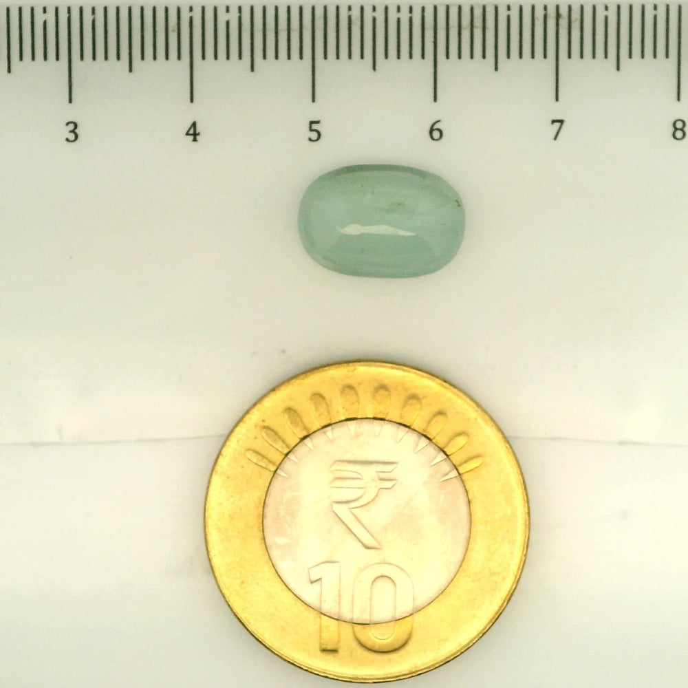 ITLGR_109514_SCALE.webp