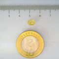 ITLGR_104928_SCALE.webp