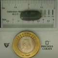 ITLGR_101935_SCALE.webp