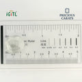 IGITL_194732_SCALE.webp