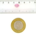 IGITL_200333_SCALE.webp