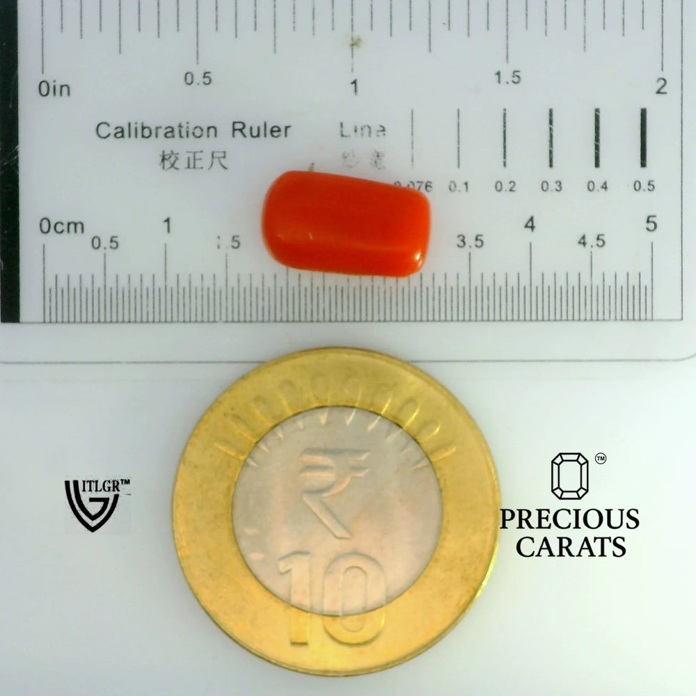 ITLGR_104511_SCALE.webp