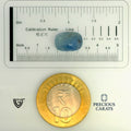 ITLGR_98981_SCALE.webp