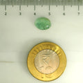 AGR_88392_SCALE.webp