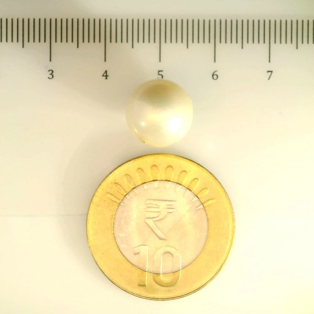 ITLGR_106918_SCALE.webp