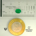 ITLGR_105249_SCALE.webp