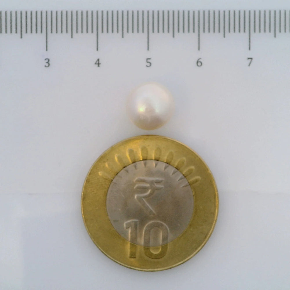 ITLGR_107022_SCALE.webp