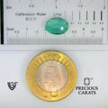 ITLGR_102212_SCALE.webp