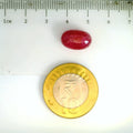 ITLGR_2426_SCALE.webp