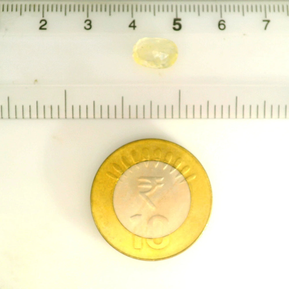 IGITL_211778_SCALE.webp