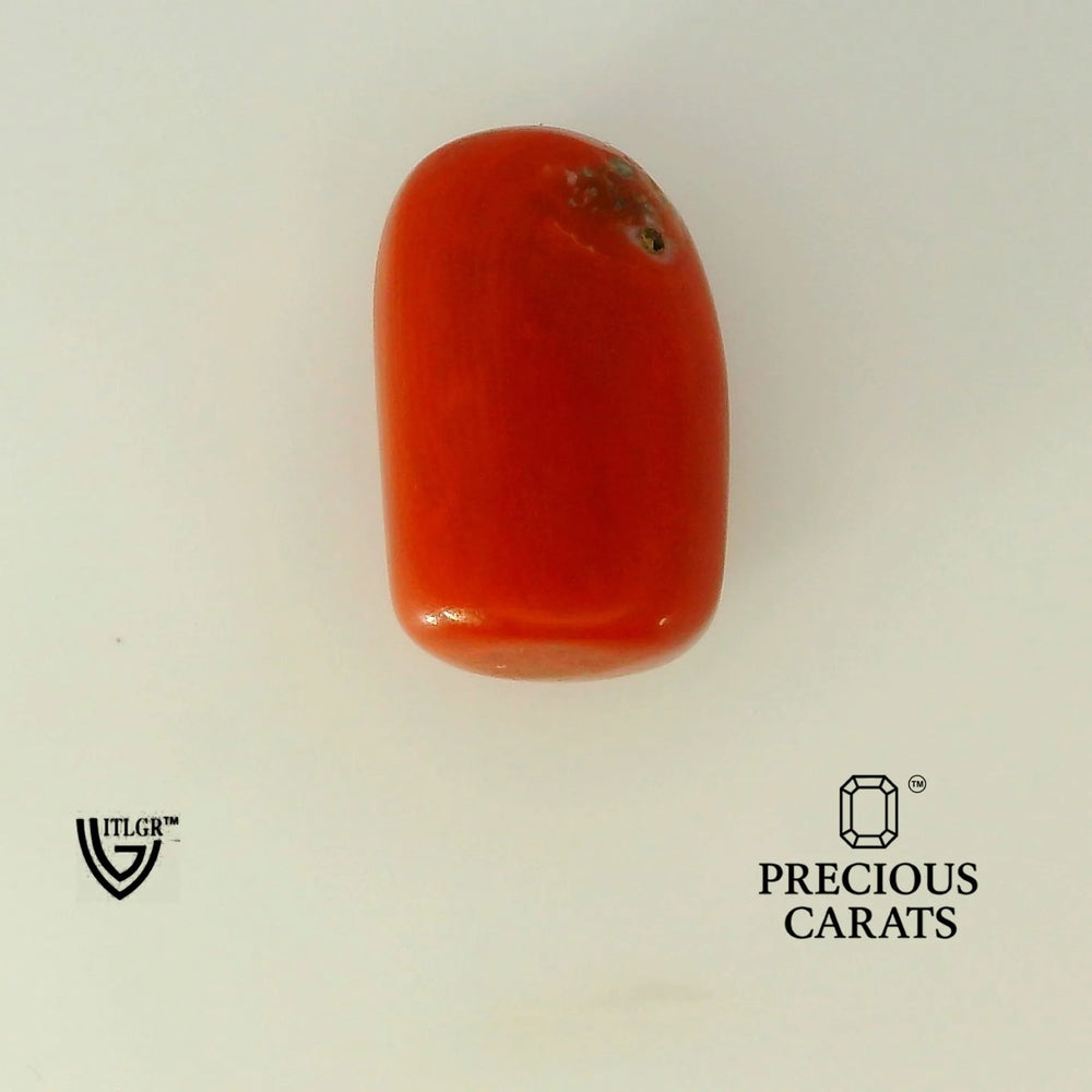 ITLGR_104539_TOP.webp