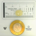 ITLGR_98968_SCALE.webp
