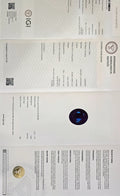 IGI_766652909_CERTIFICATE.webp