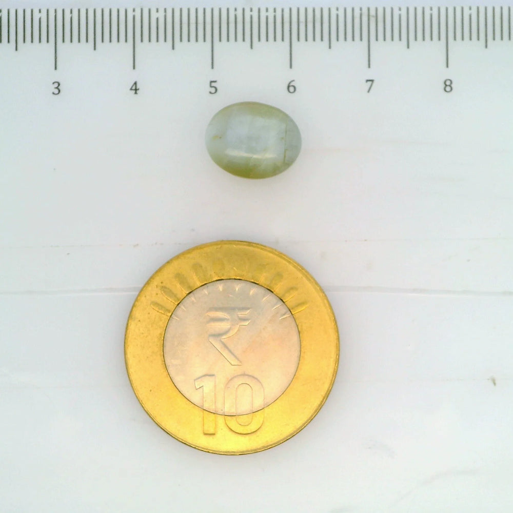 ITLGR_109826_SCALE.webp