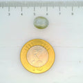 ITLGR_109826_SCALE.webp