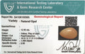 ITLGR_100565_CERTIFICATE.webp