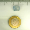 IGITL_201530_SCALE.webp