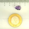 ITLGR_109455_SCALE.webp