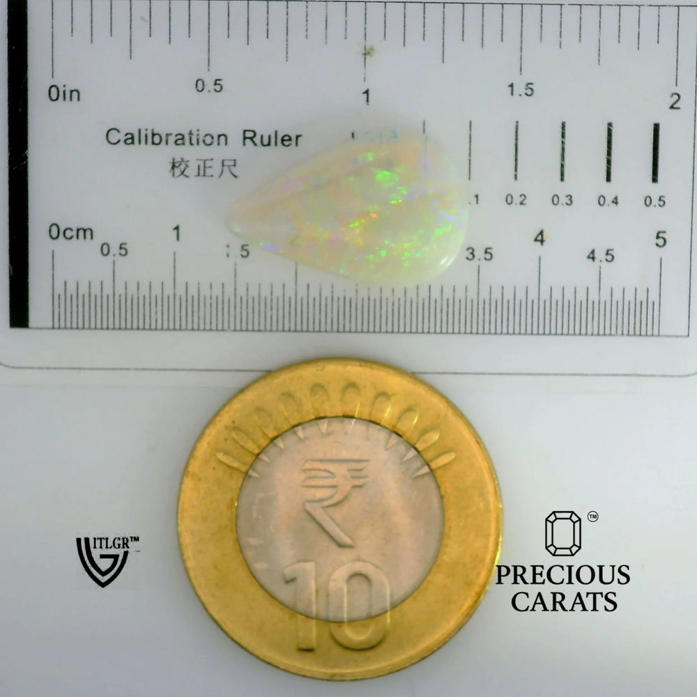 ITLGR_102013_SCALE.webp