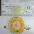 ITLGR_102013_SCALE.webp