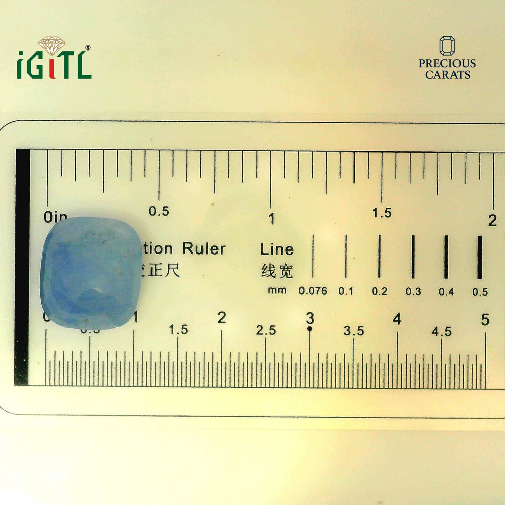 IGITL_194685_SCALE.webp