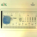 IGITL_194685_SCALE.webp