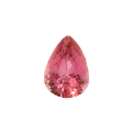 IGITL_200221_FRONT.png